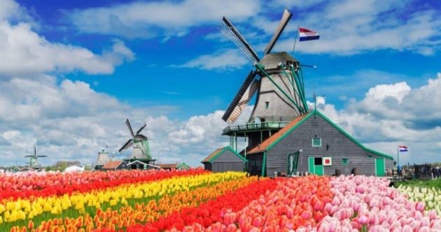International Executive Search in the Netherlands