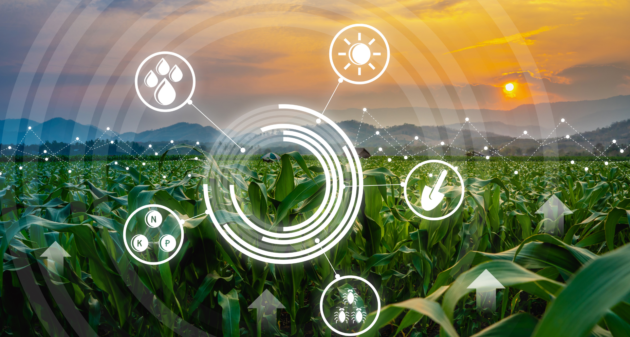 Rekrutacje Sektor Agro i Bio-paliwa